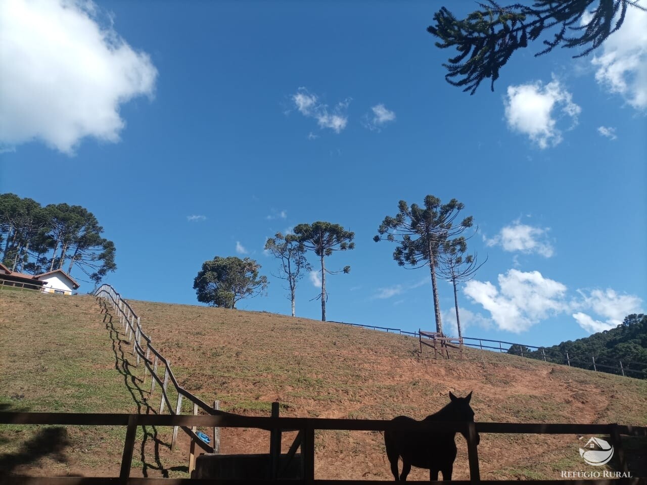 Fazenda à venda com 3 quartos, 250m² - Foto 2