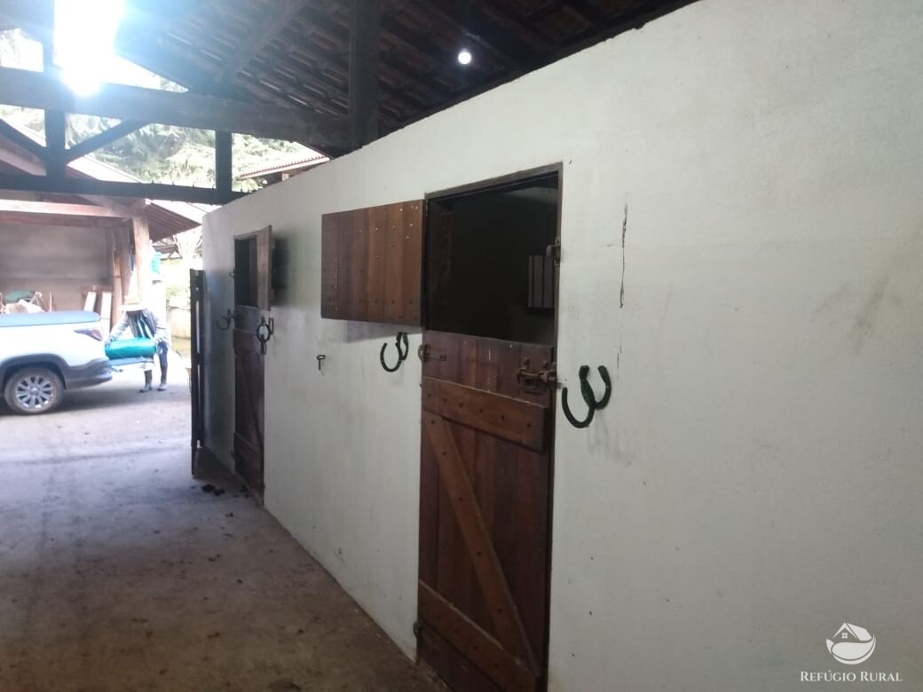 Fazenda à venda com 3 quartos, 250m² - Foto 7