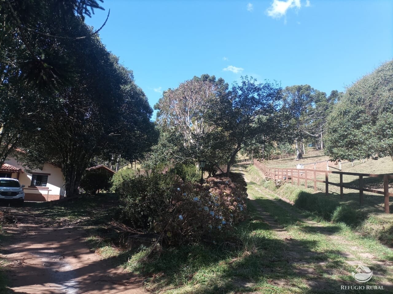 Fazenda à venda com 3 quartos, 250m² - Foto 14