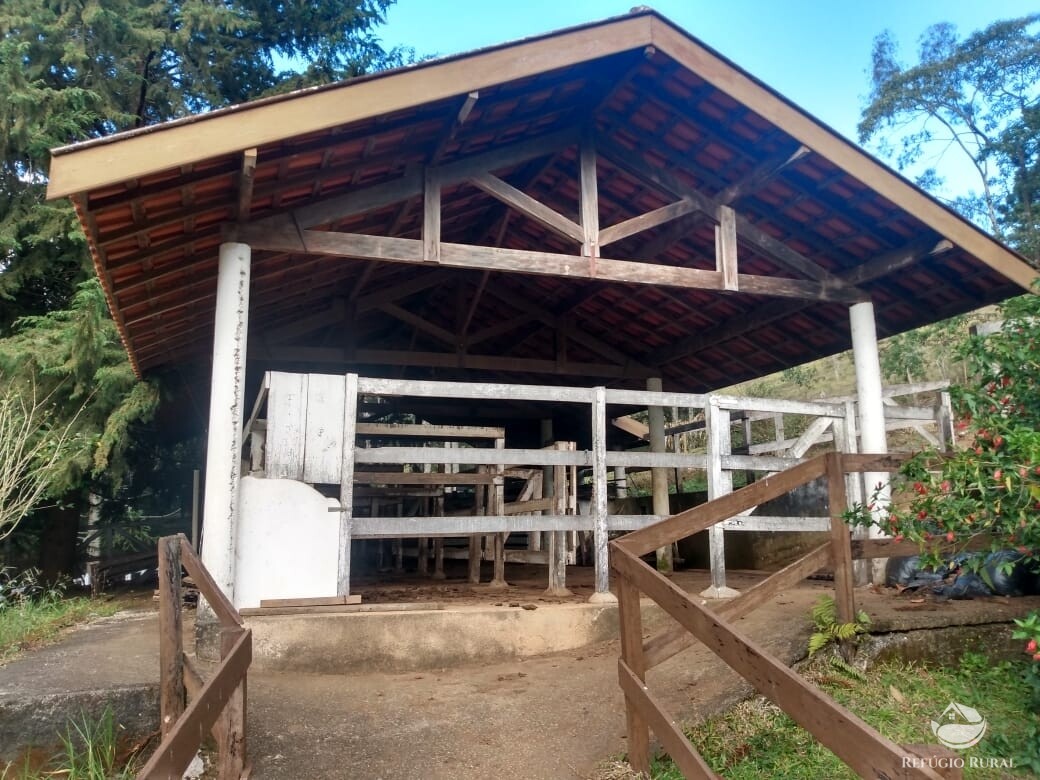 Fazenda à venda com 3 quartos, 250m² - Foto 8