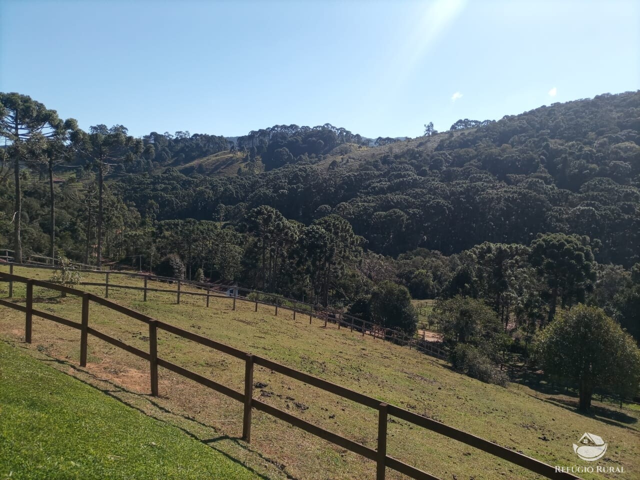 Fazenda à venda com 3 quartos, 250m² - Foto 5