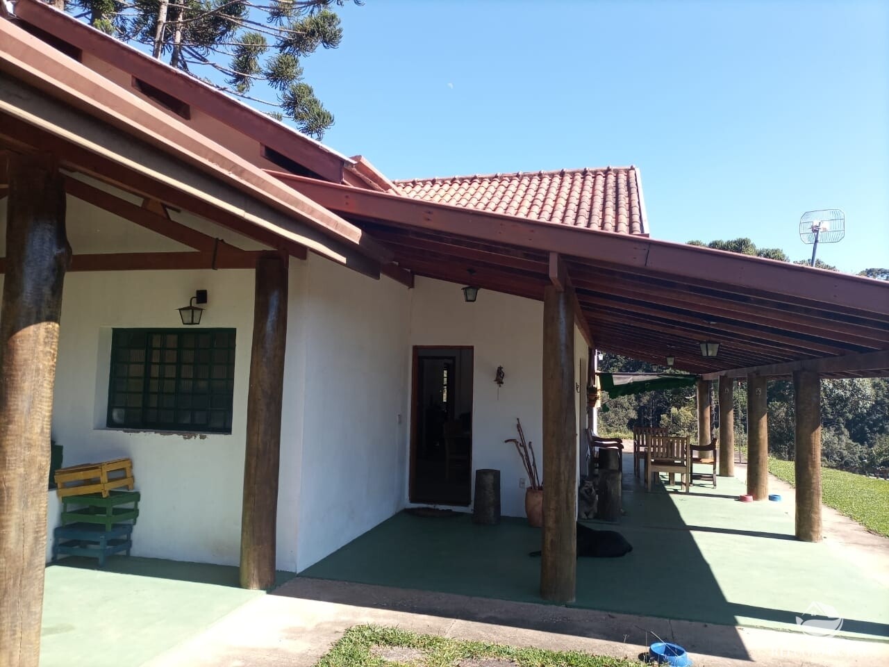 Fazenda à venda com 3 quartos, 250m² - Foto 3