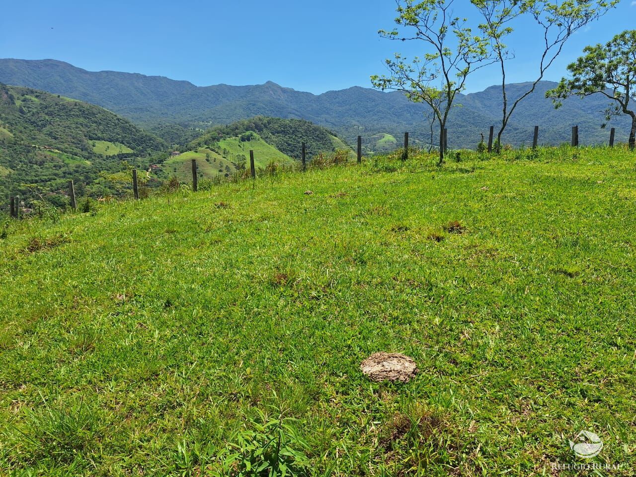 Terreno, 7 hectares - Foto 6