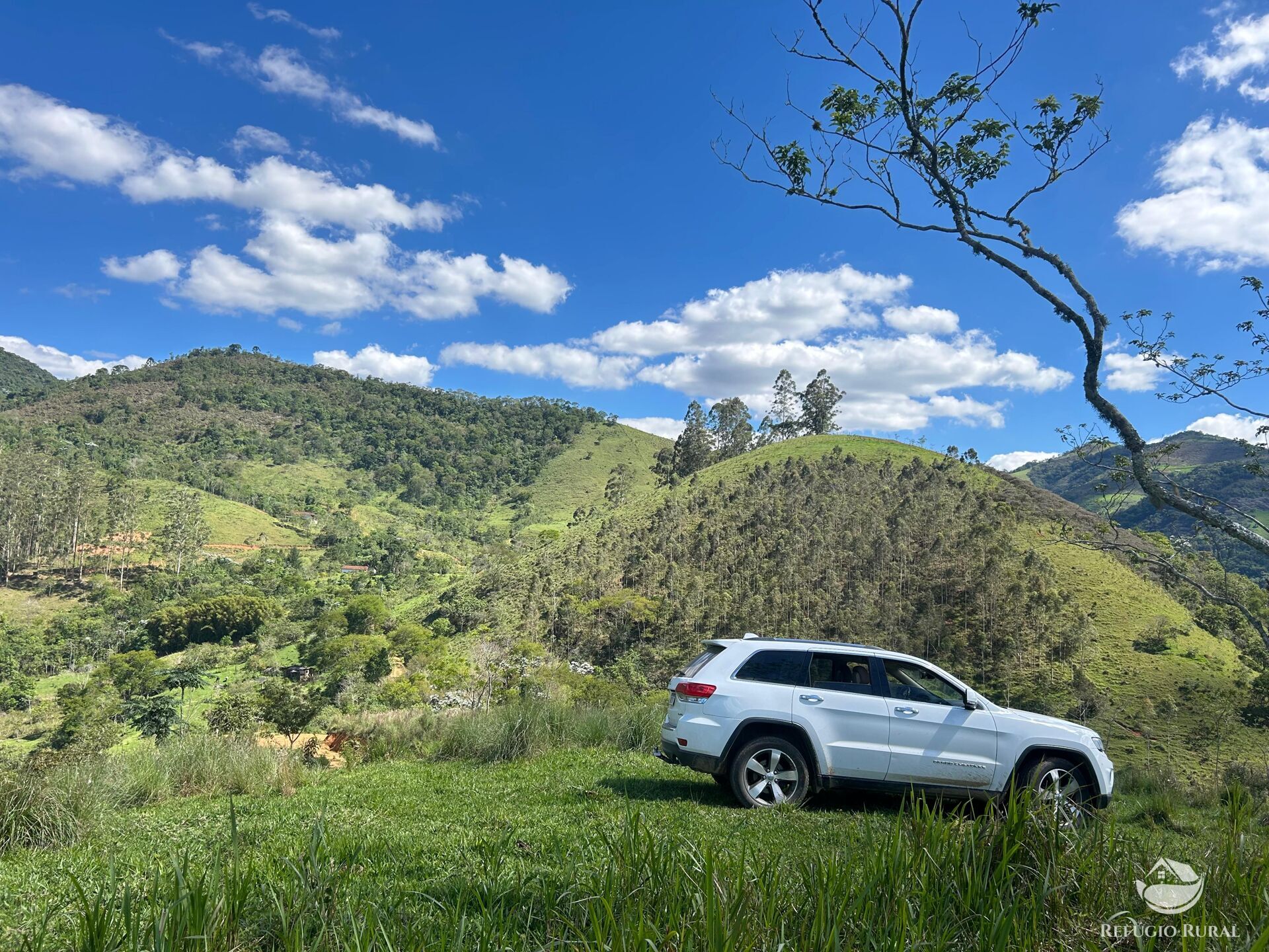 Terreno, 7 hectares - Foto 5