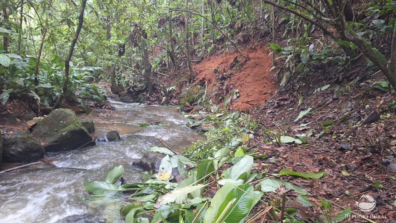 Terreno, 7 hectares - Foto 13