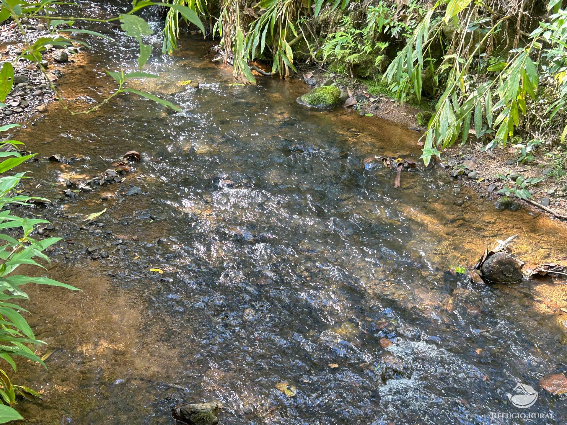 Terreno, 7 hectares - Foto 15