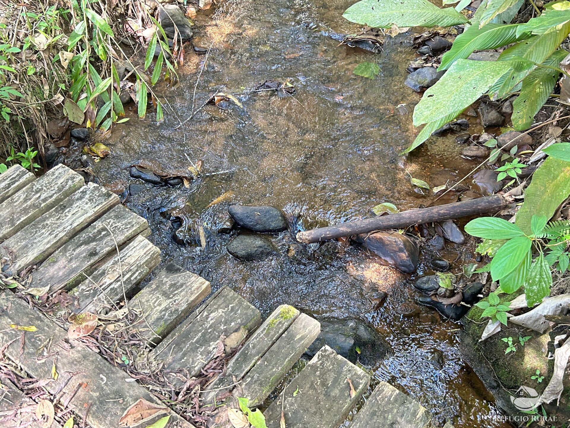 Terreno, 7 hectares - Foto 18