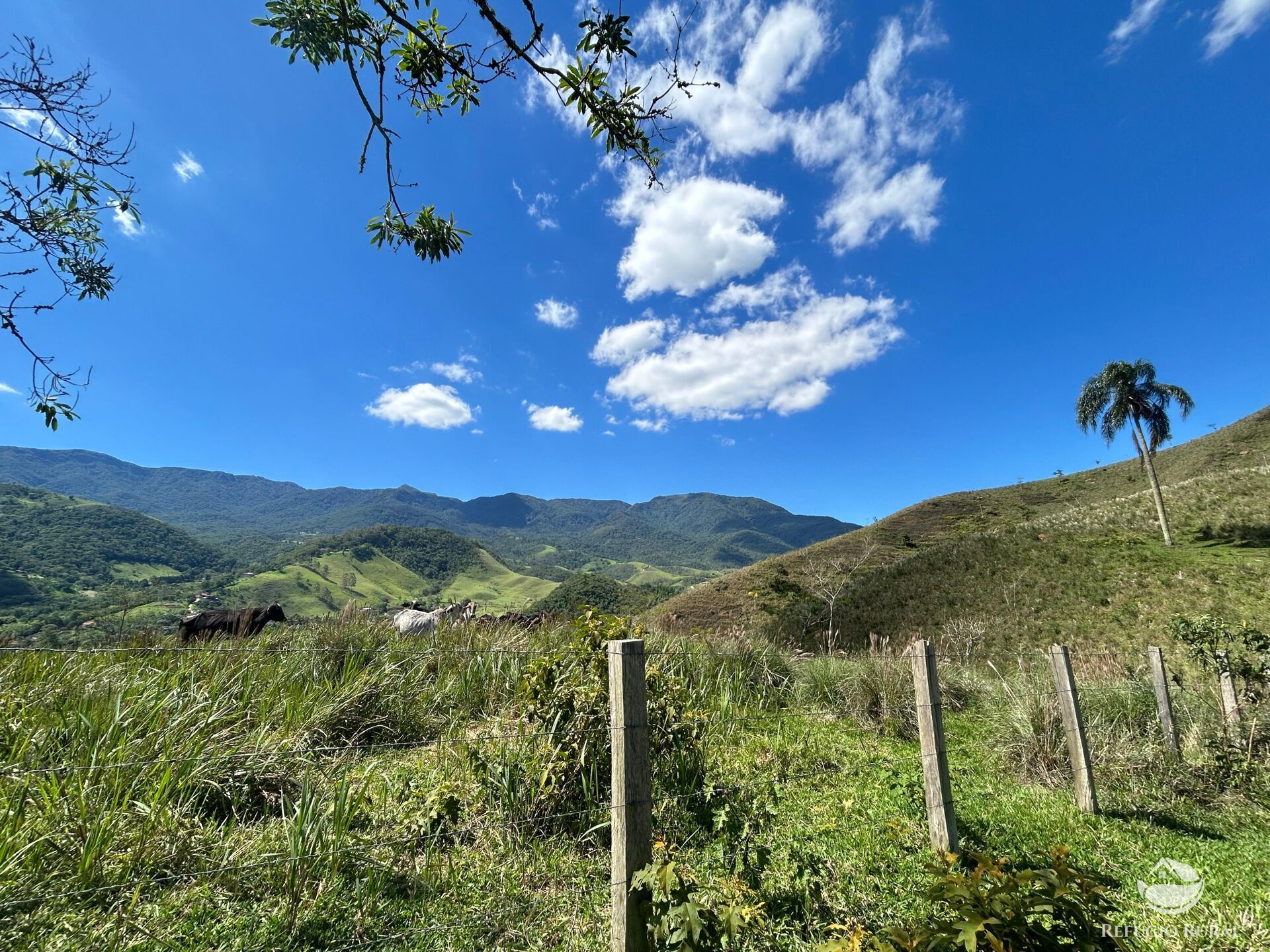 Terreno, 7 hectares - Foto 9