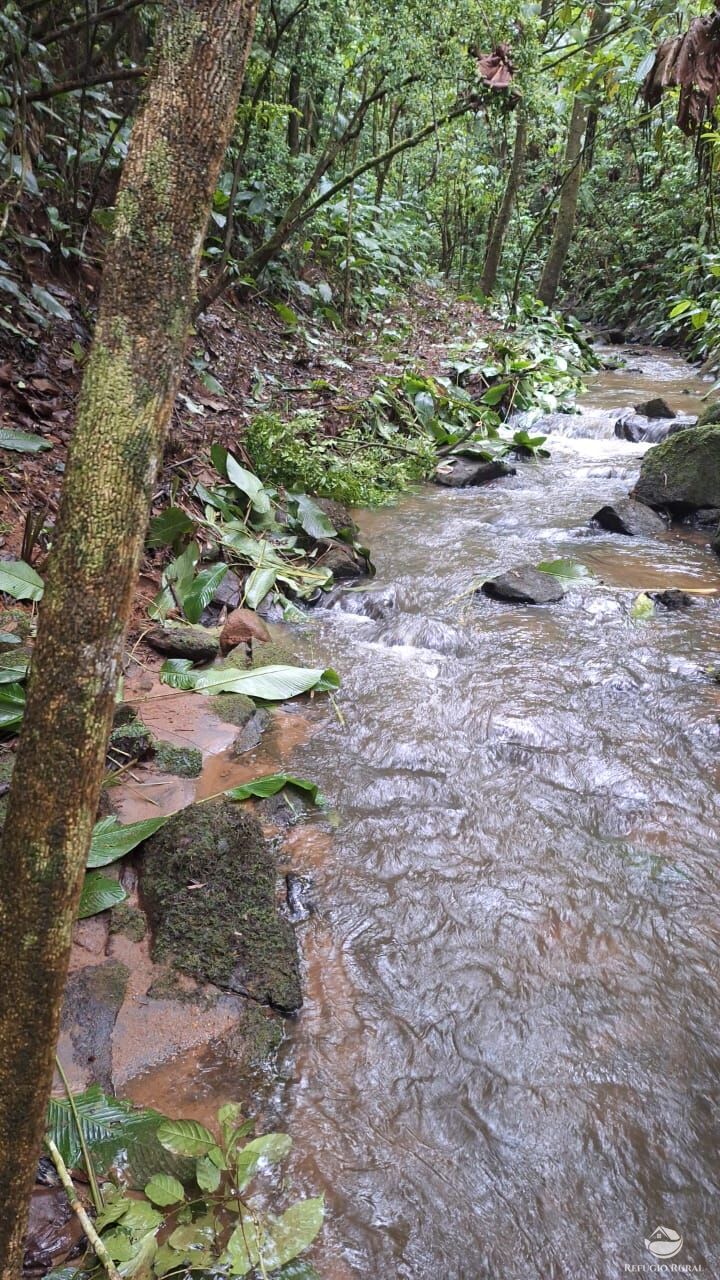 Terreno, 7 hectares - Foto 14