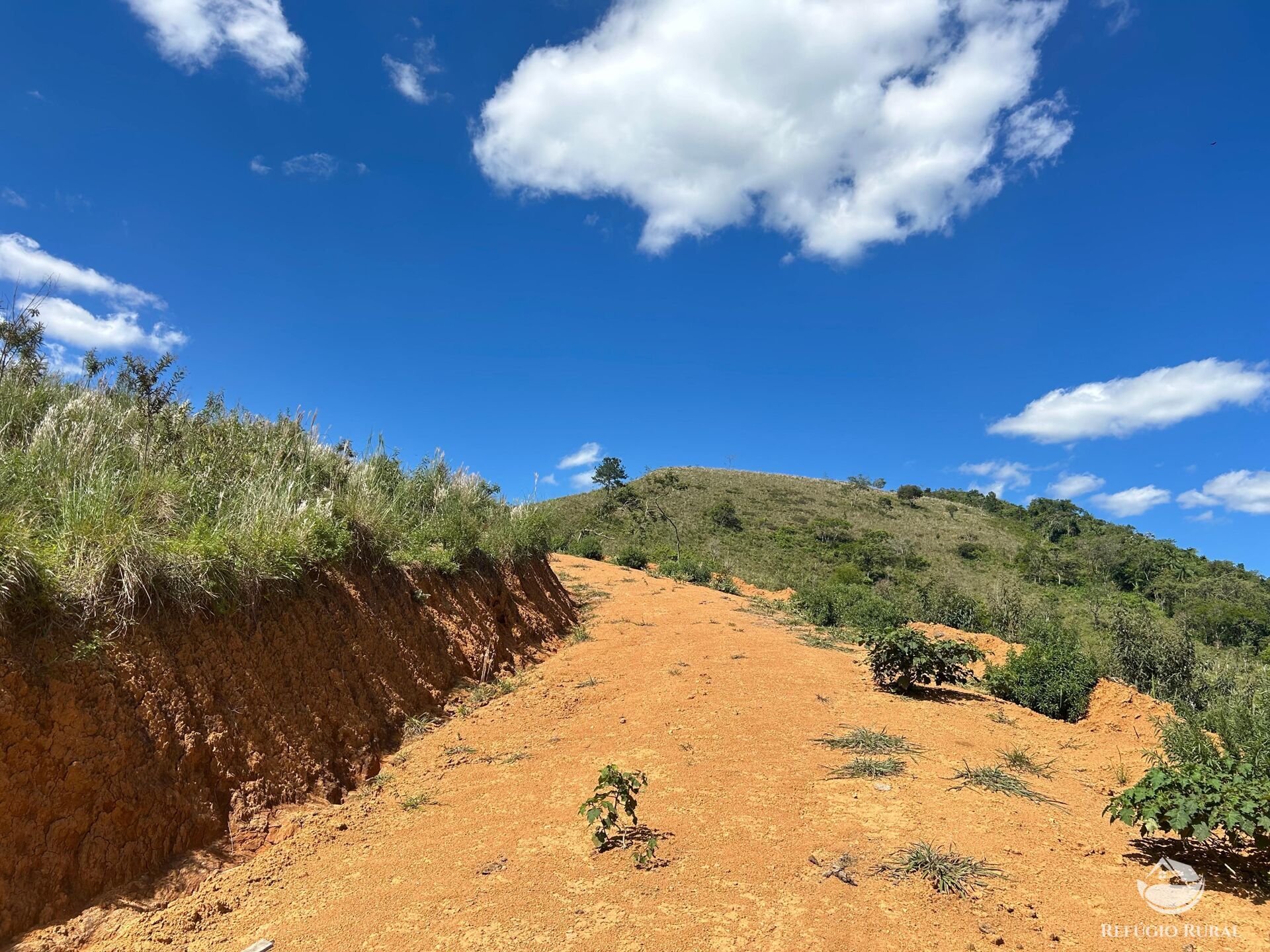 Terreno, 7 hectares - Foto 10