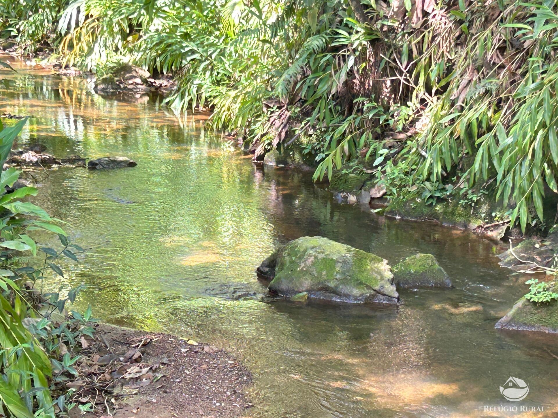 Terreno, 7 hectares - Foto 16