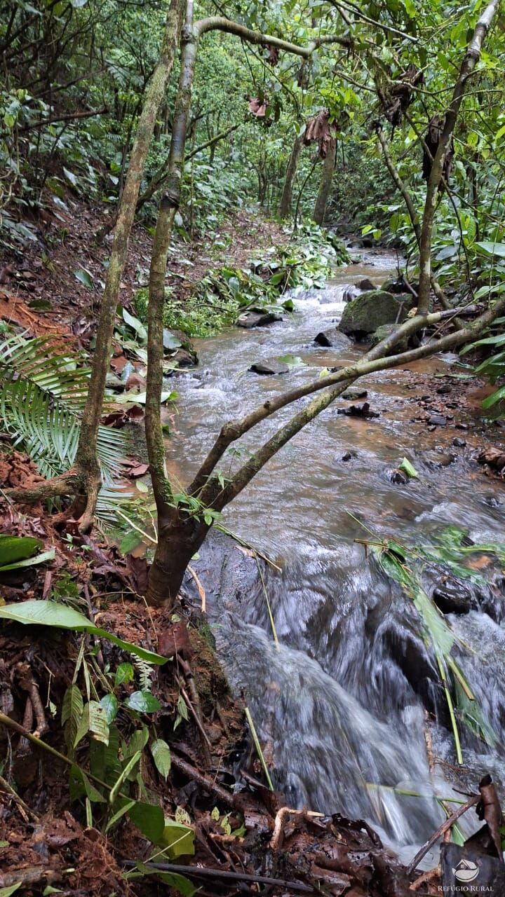 Terreno, 7 hectares - Foto 12