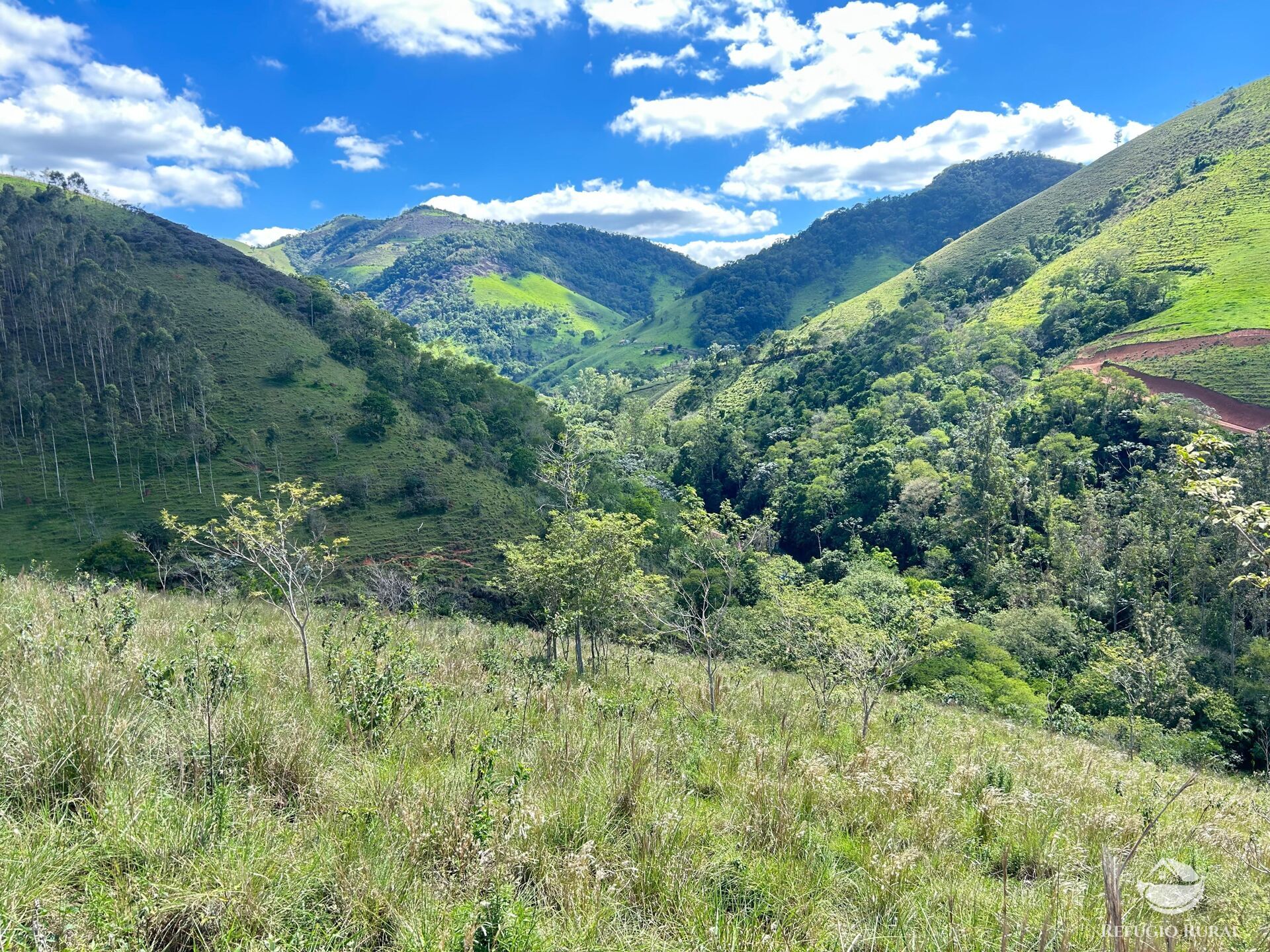 Terreno, 7 hectares - Foto 3