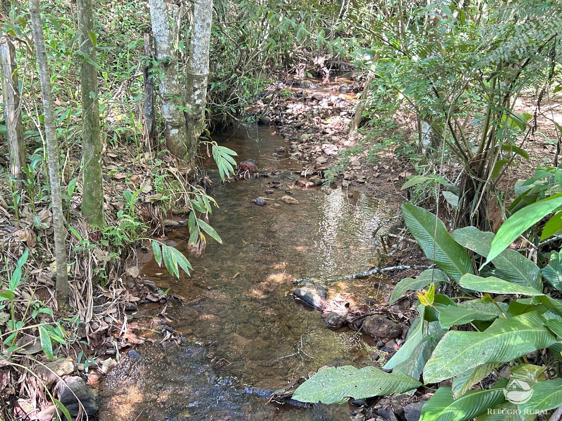 Terreno, 7 hectares - Foto 17