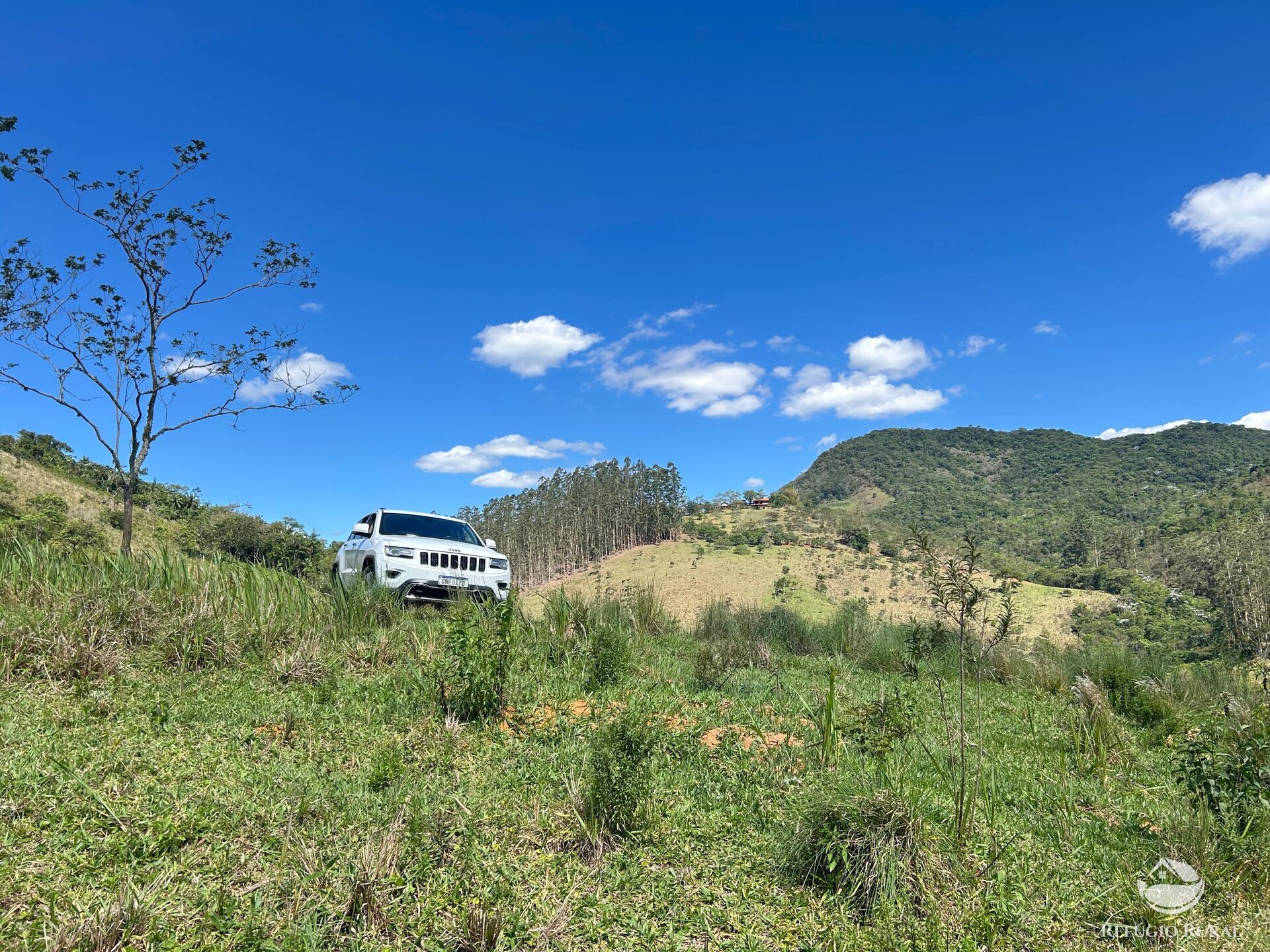 Terreno, 7 hectares - Foto 11