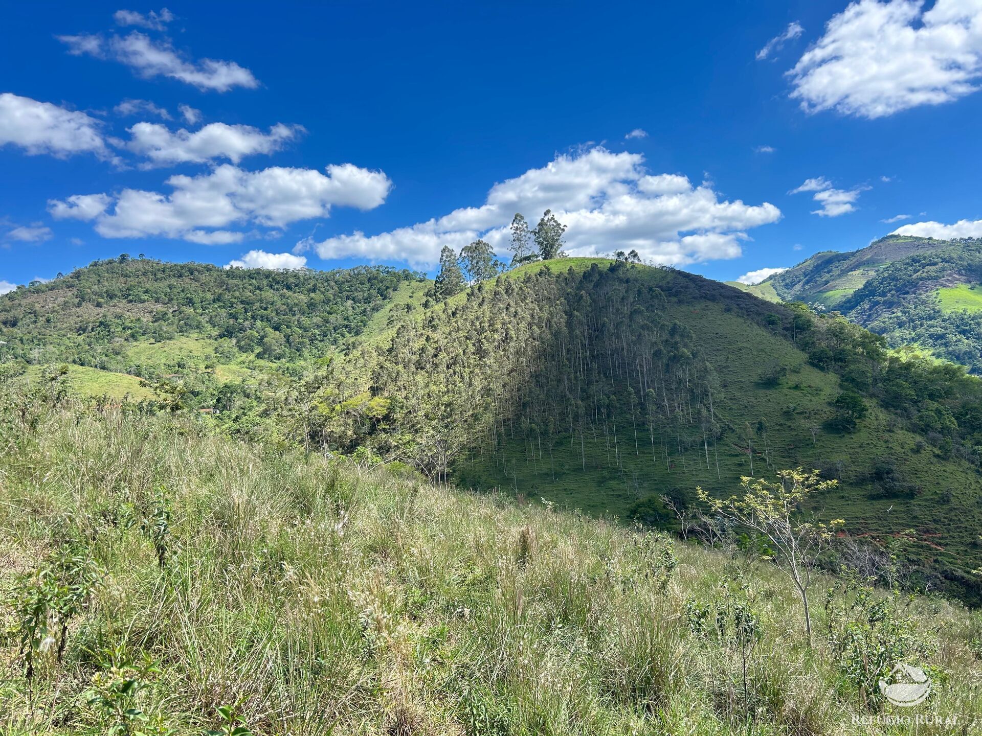 Terreno, 7 hectares - Foto 21