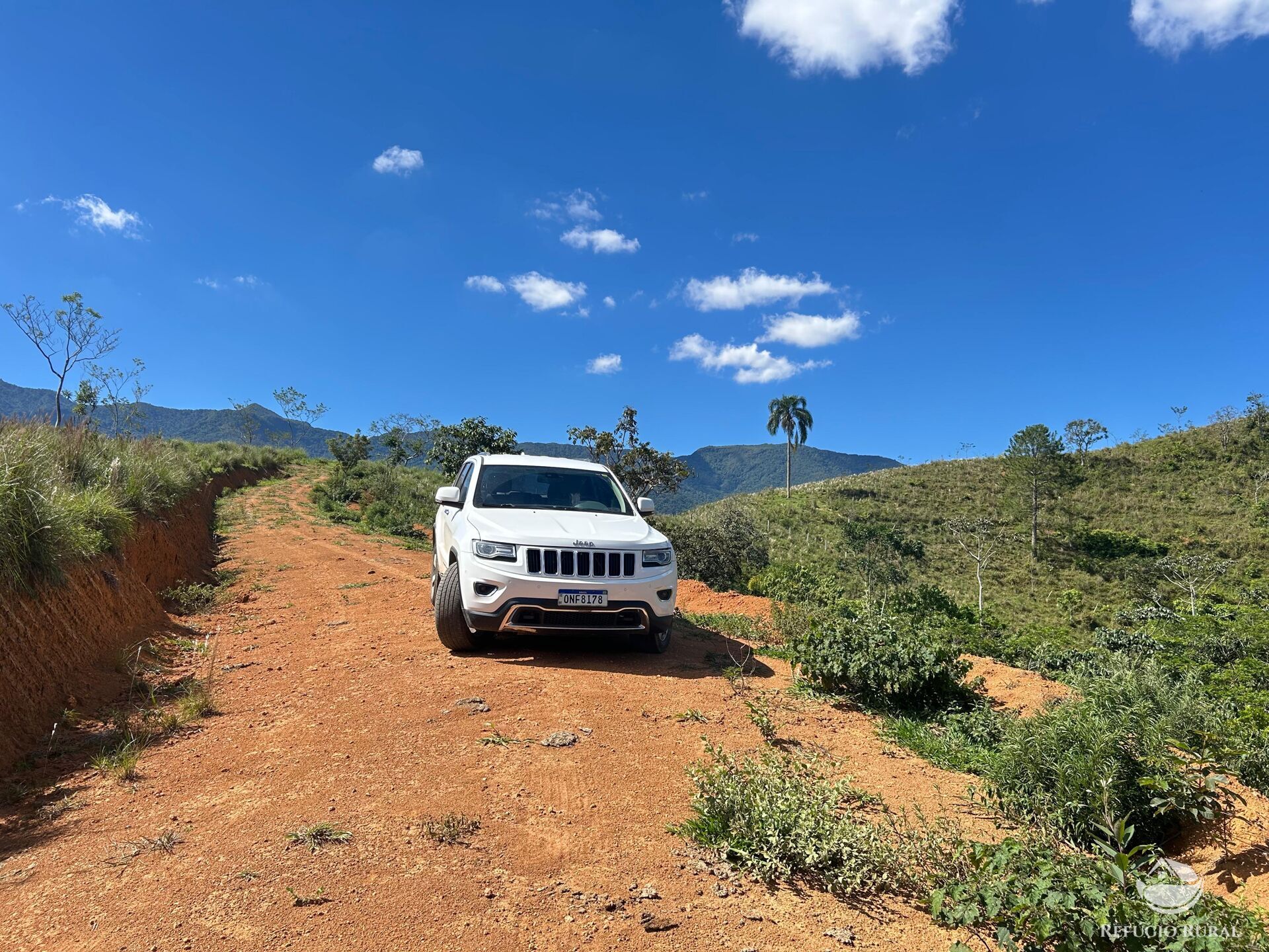 Terreno, 7 hectares - Foto 7