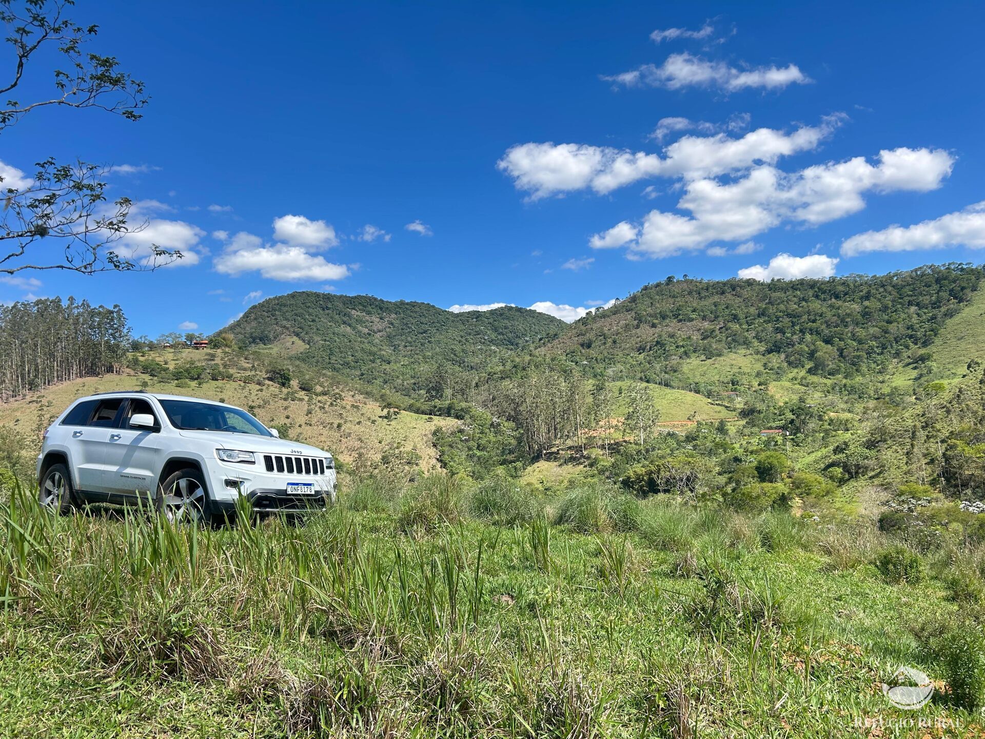 Terreno, 7 hectares - Foto 8