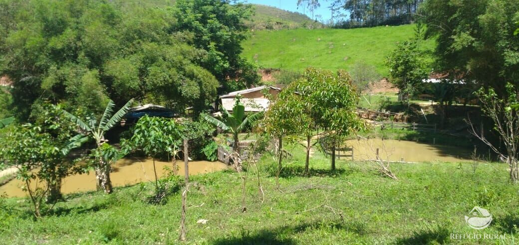 Fazenda à venda com 3 quartos, 34000m² - Foto 1