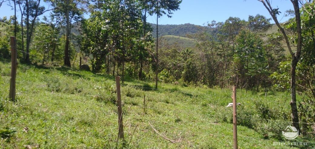 Fazenda à venda com 3 quartos, 34000m² - Foto 3