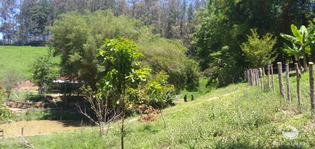 Fazenda à venda com 3 quartos, 34000m² - Foto 6