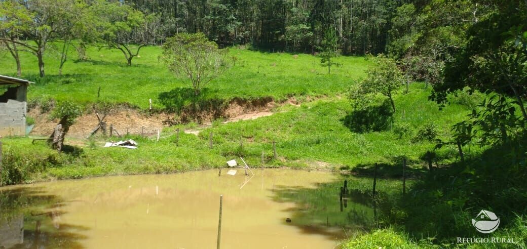 Fazenda à venda com 3 quartos, 34000m² - Foto 7