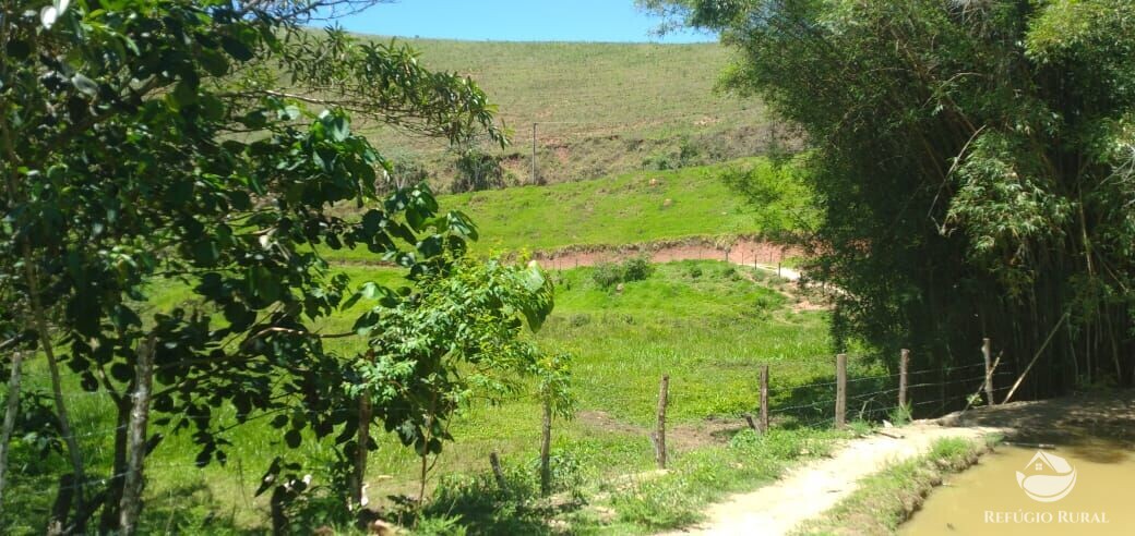 Fazenda à venda com 3 quartos, 34000m² - Foto 2