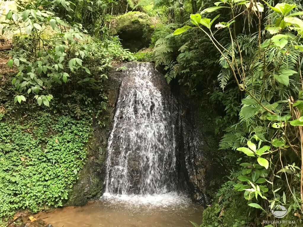 Fazenda à venda com 3 quartos, 180000m² - Foto 45