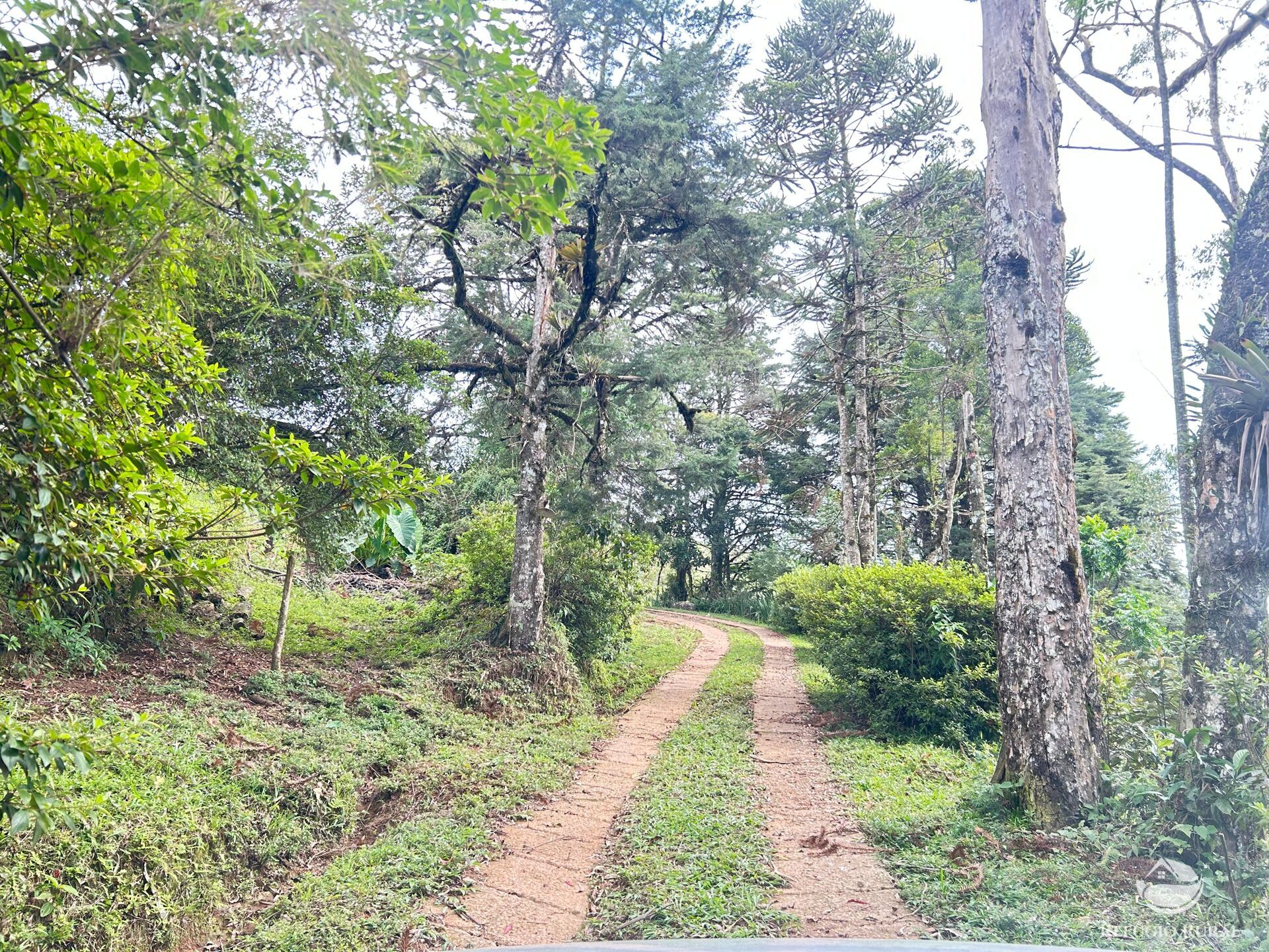 Fazenda à venda com 3 quartos, 180000m² - Foto 4