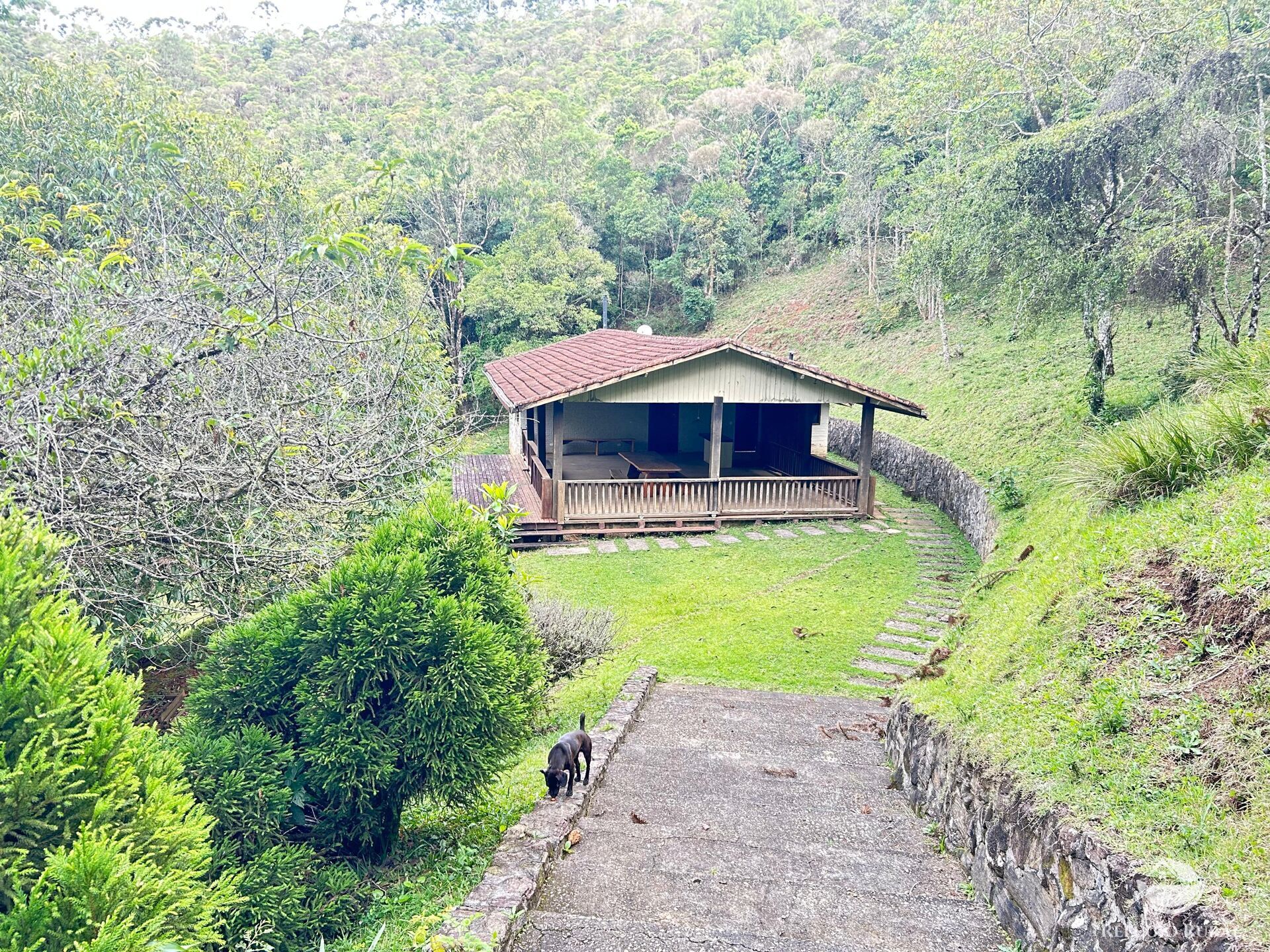 Fazenda à venda com 3 quartos, 180000m² - Foto 32