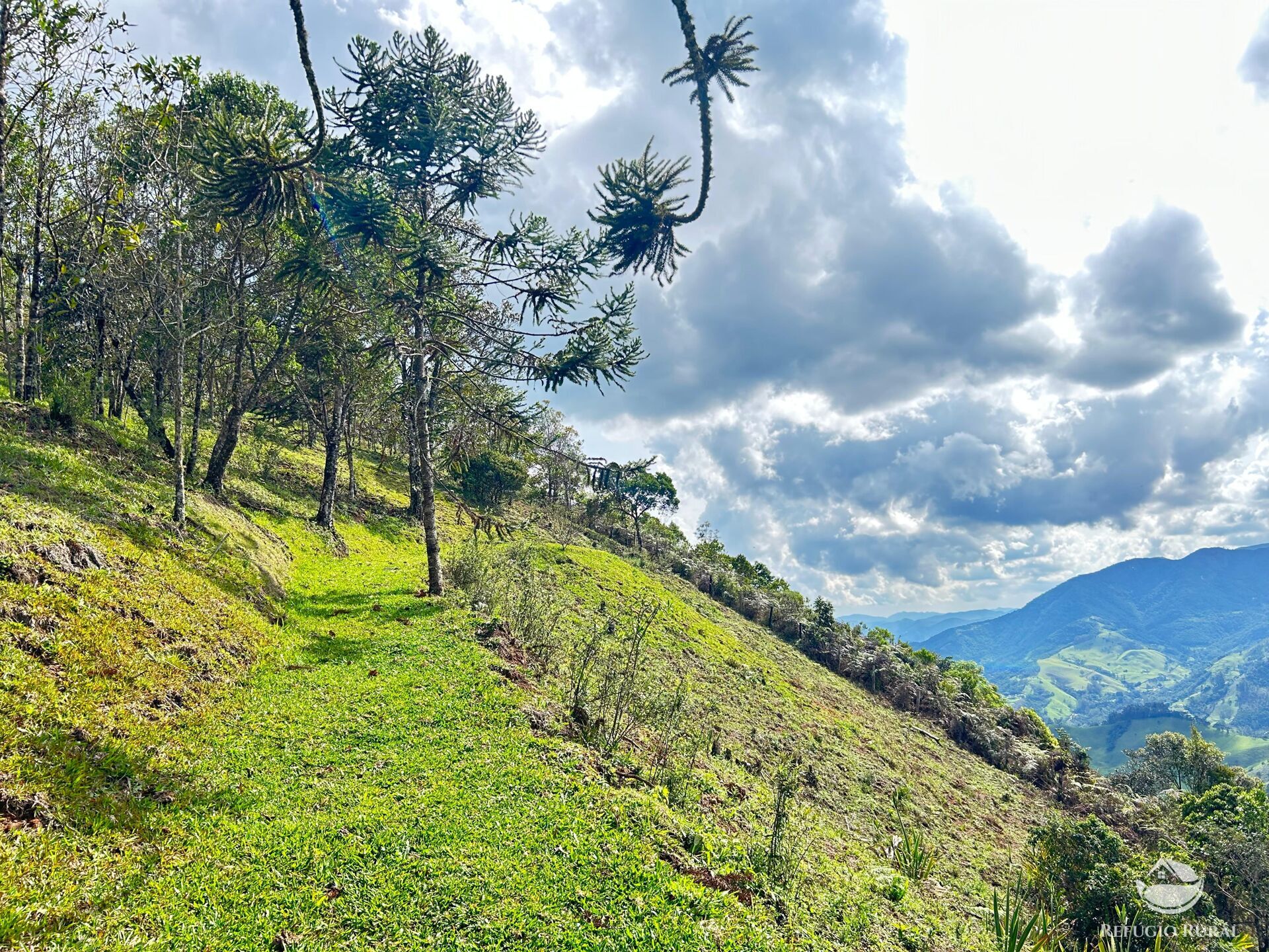 Fazenda à venda com 3 quartos, 180000m² - Foto 5