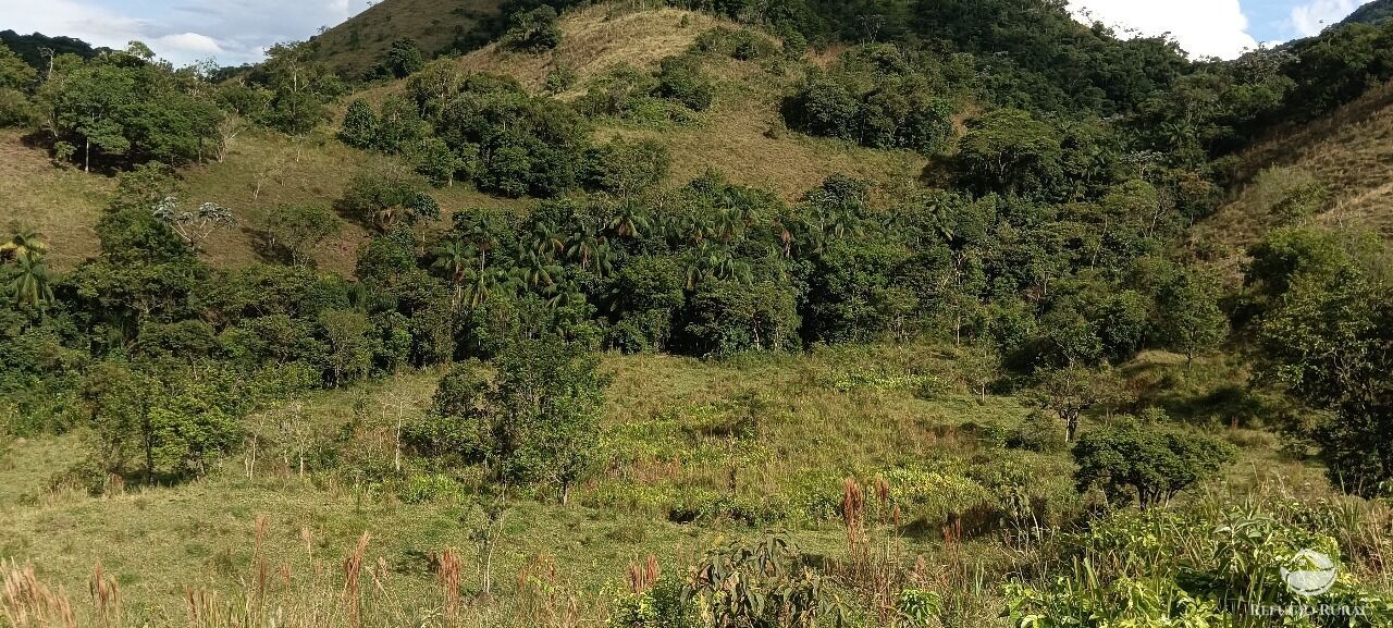 Fazenda, 170 hectares - Foto 25