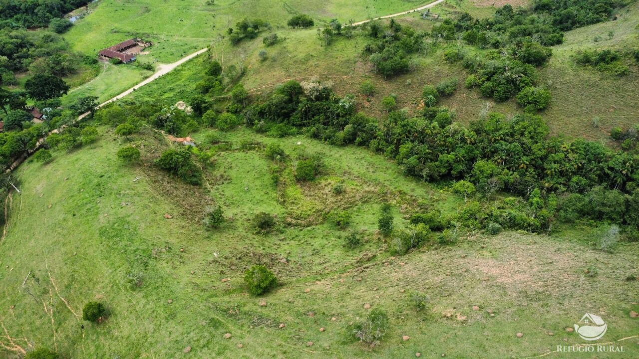 Fazenda, 170 hectares - Foto 8