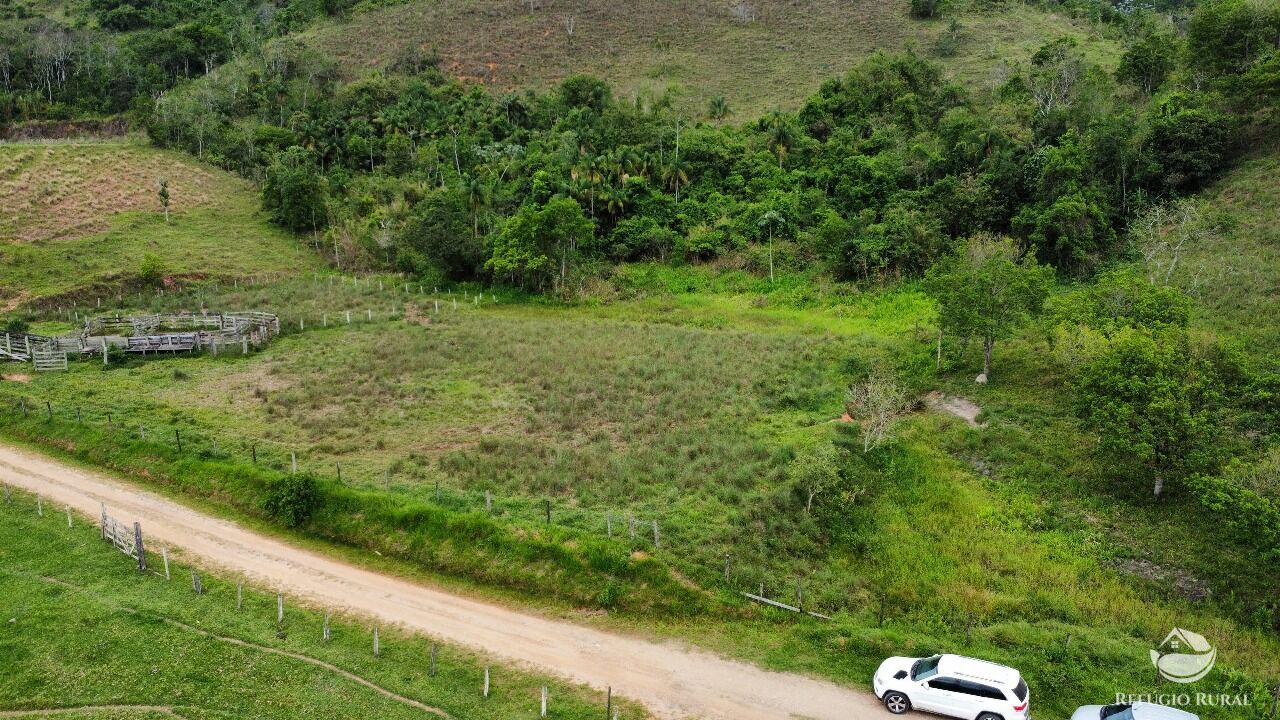 Fazenda, 170 hectares - Foto 6