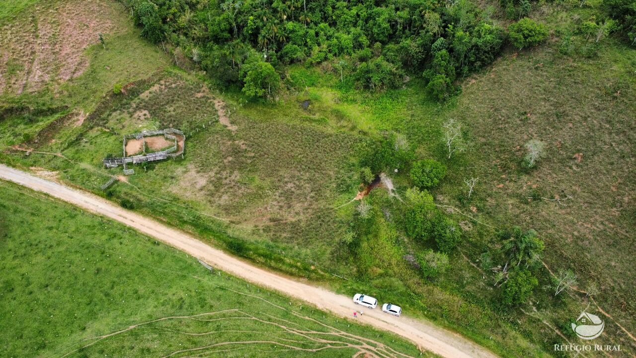 Fazenda, 170 hectares - Foto 7