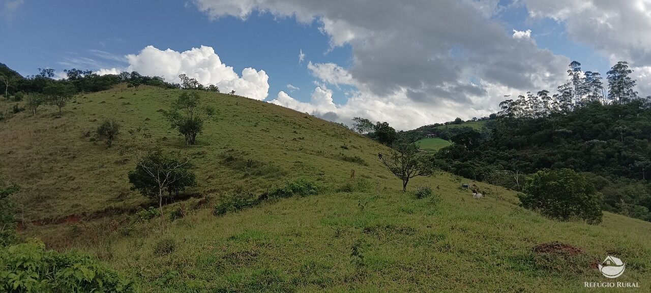 Fazenda, 170 hectares - Foto 20