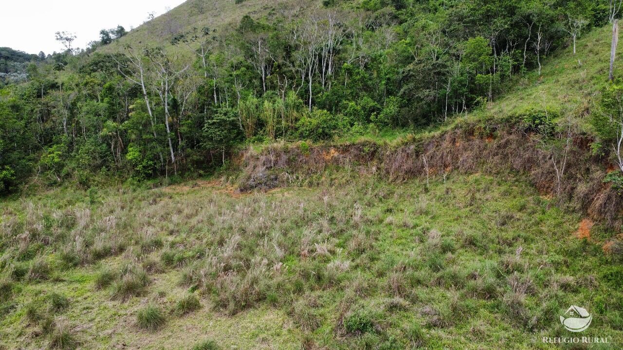 Fazenda, 170 hectares - Foto 17