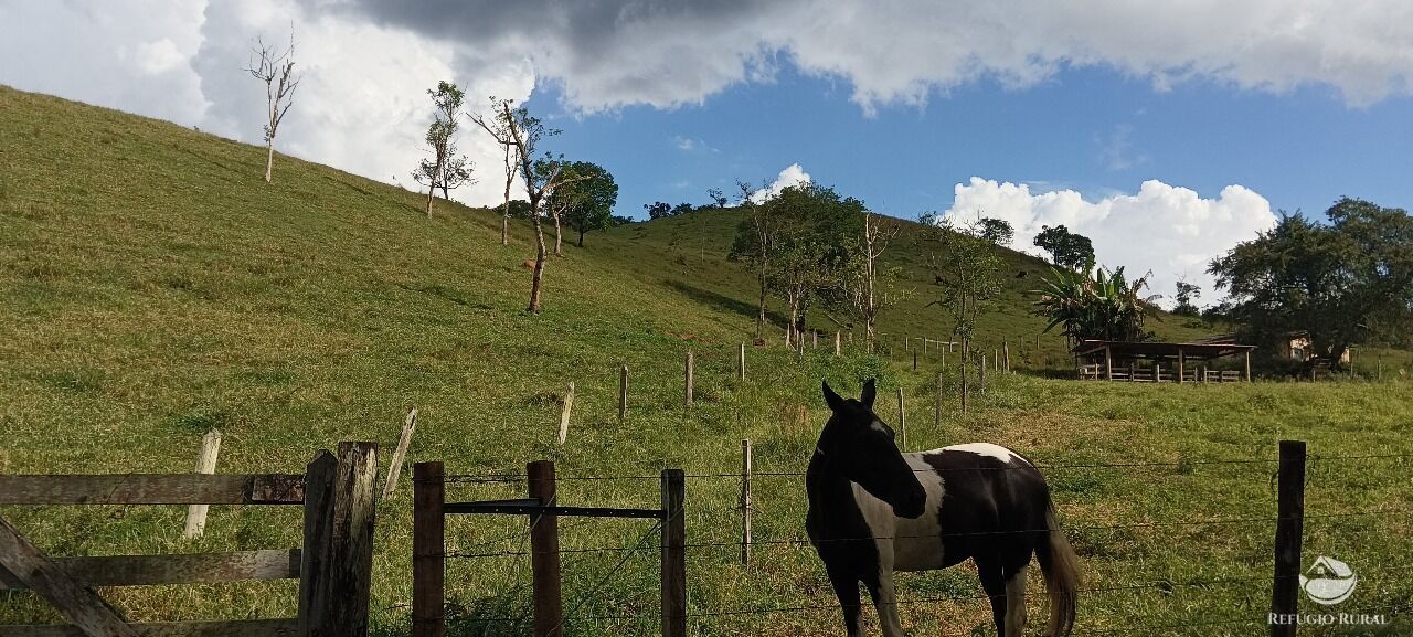 Fazenda, 170 hectares - Foto 13
