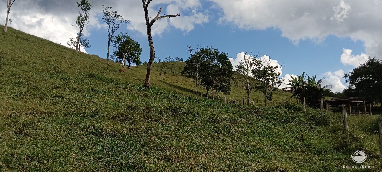 Fazenda, 170 hectares - Foto 26