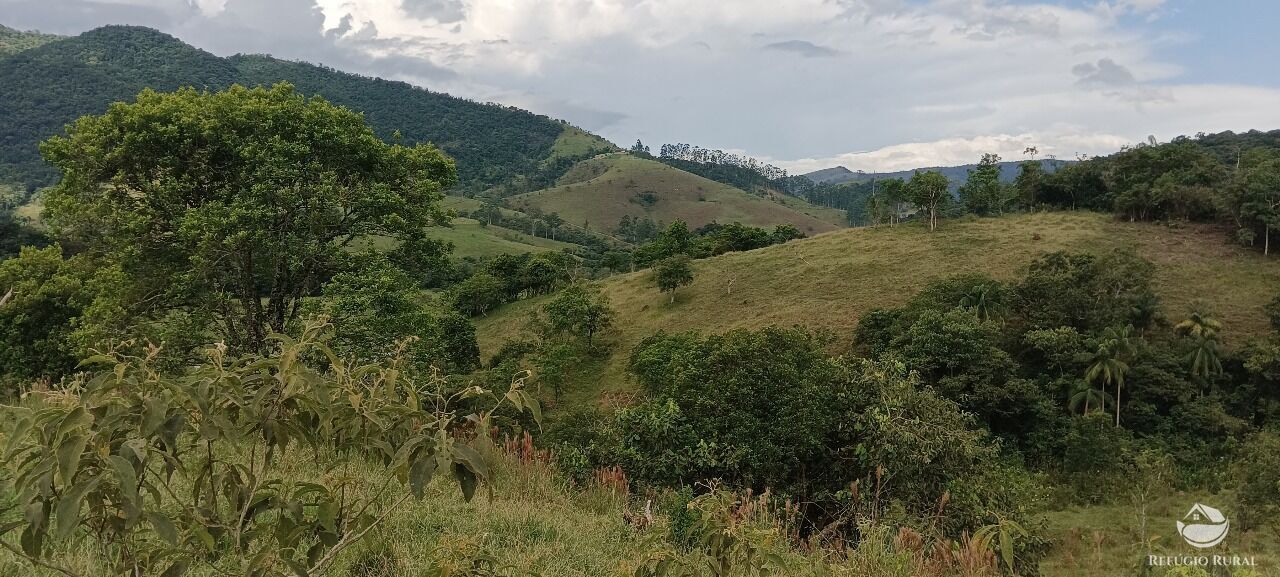 Fazenda, 170 hectares - Foto 22