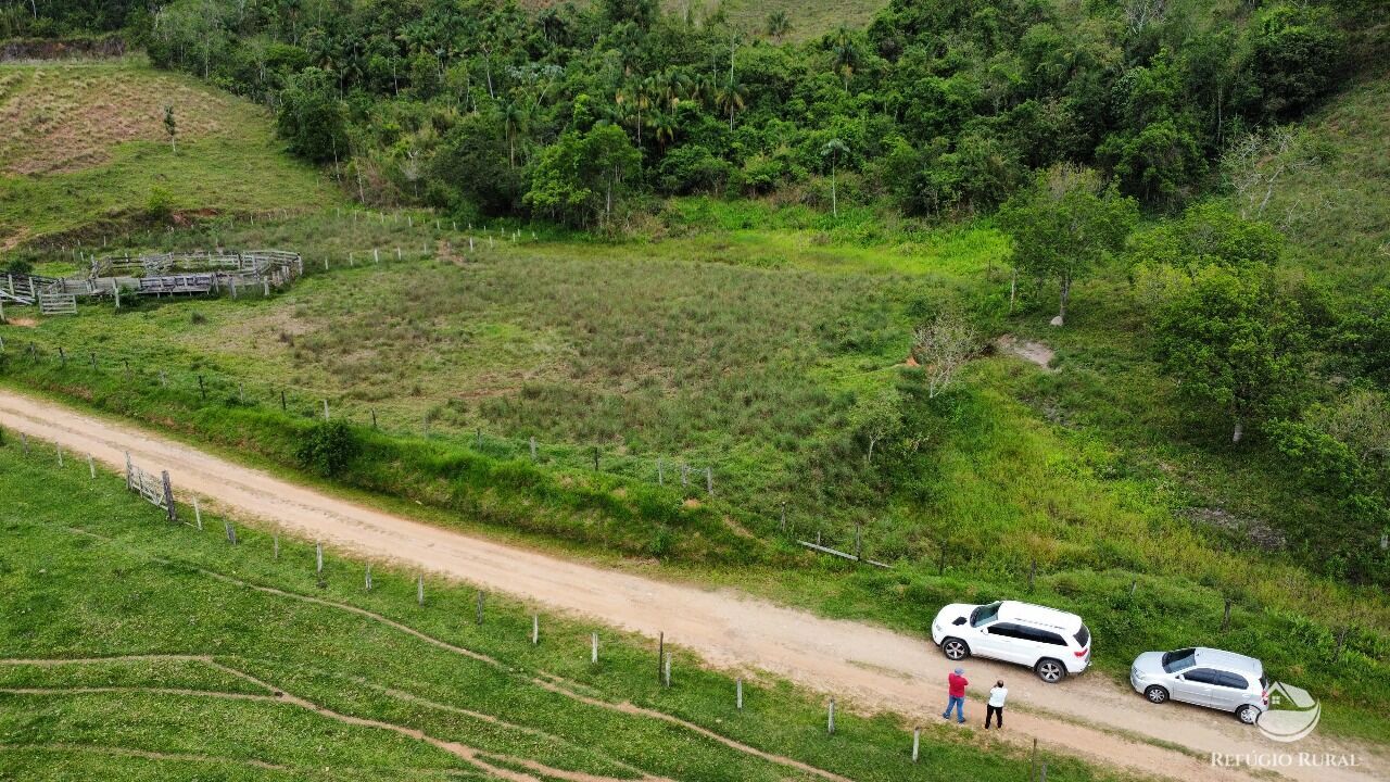 Fazenda, 170 hectares - Foto 15