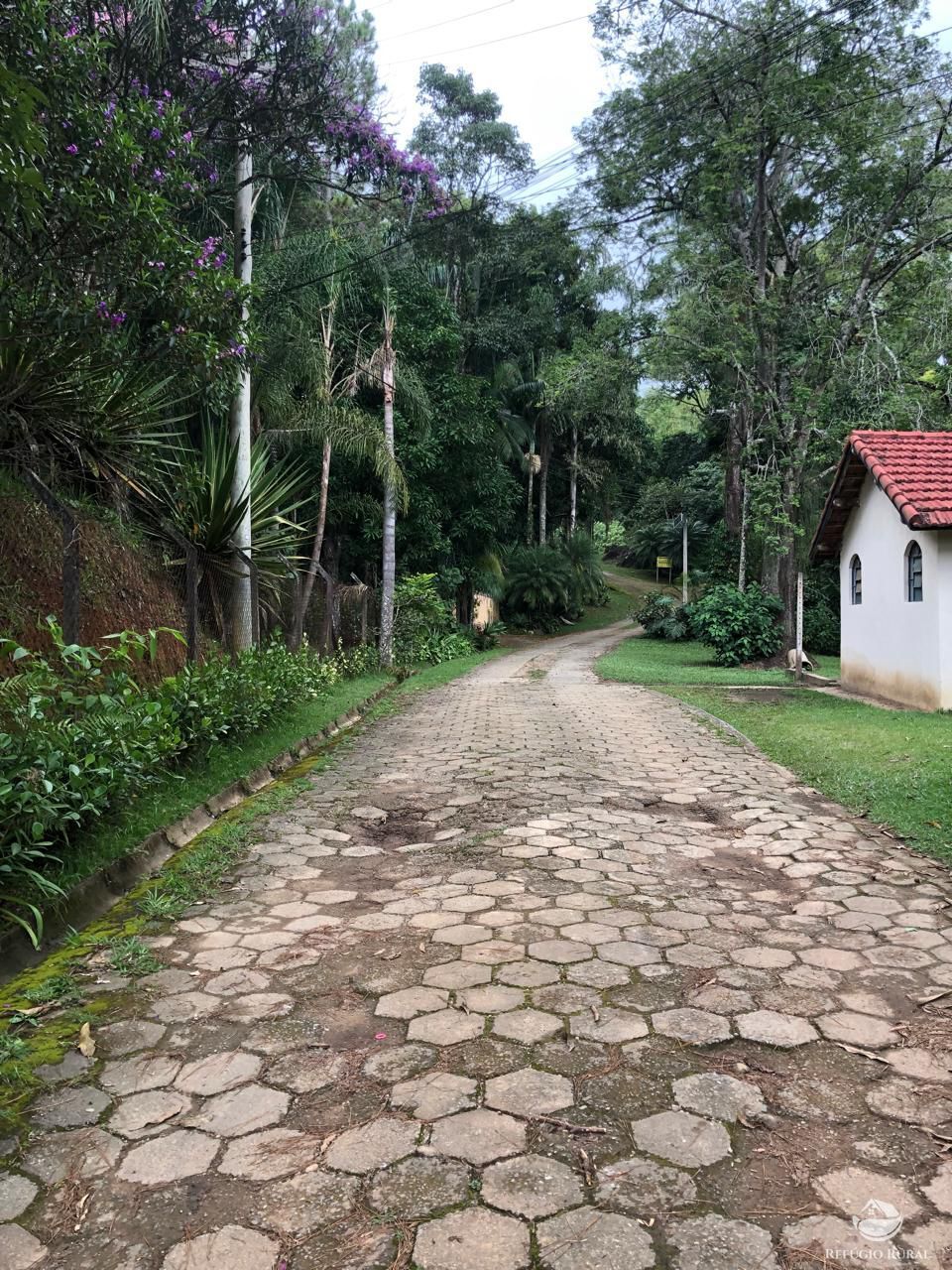 Chácara à venda com 3 quartos, 7723m² - Foto 10