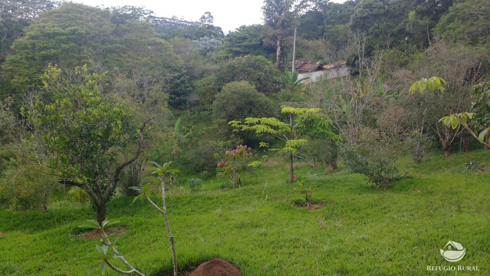 Chácara à venda com 3 quartos, 7723m² - Foto 7