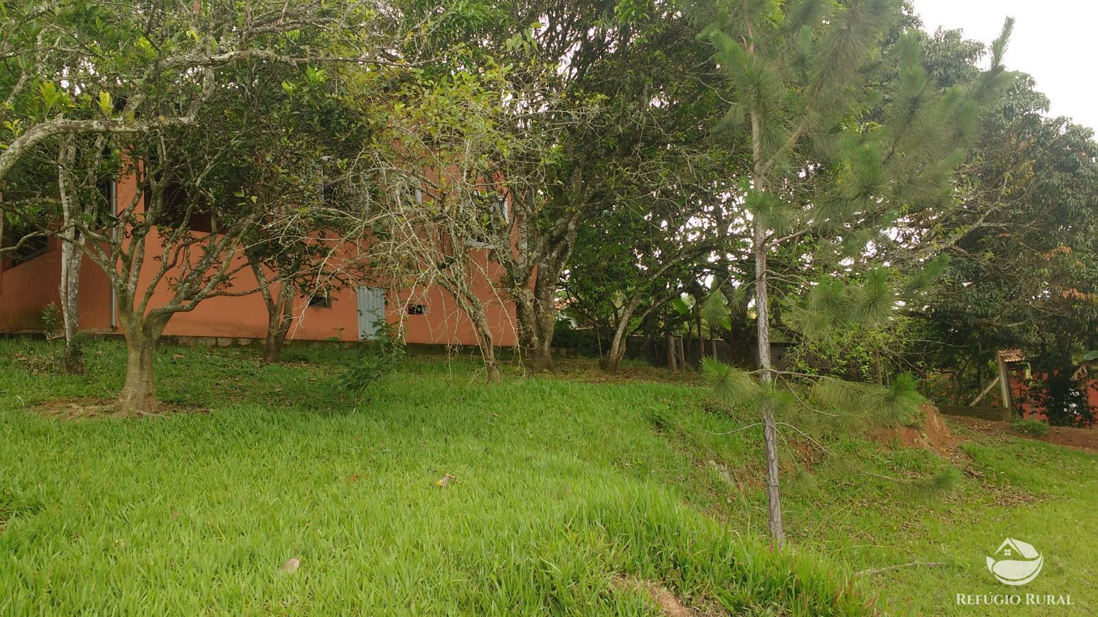 Chácara à venda com 3 quartos, 7723m² - Foto 11
