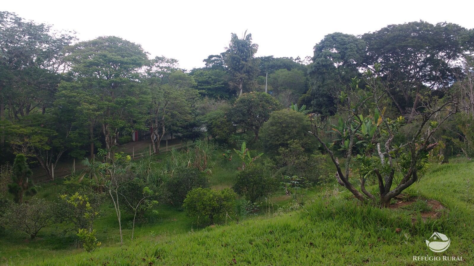 Chácara à venda com 3 quartos, 7723m² - Foto 12