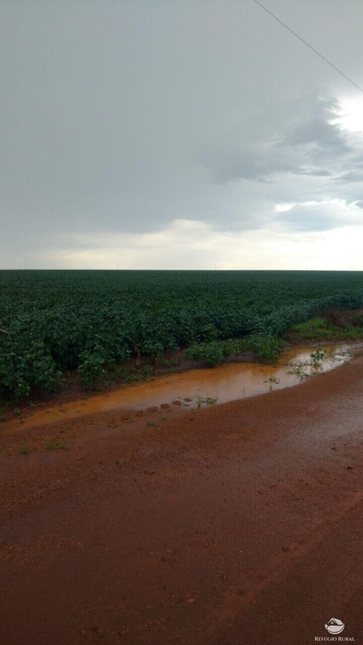 Fazenda à venda com 1 quarto, 32752600m² - Foto 3