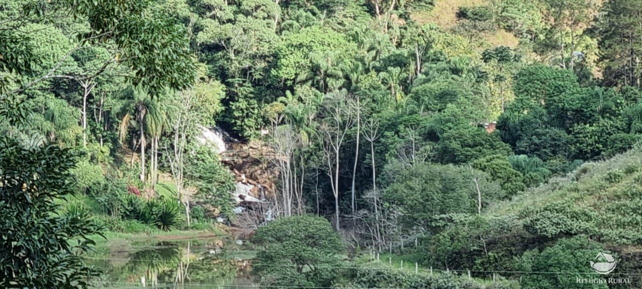 Fazenda à venda com 5 quartos, 7000m² - Foto 20