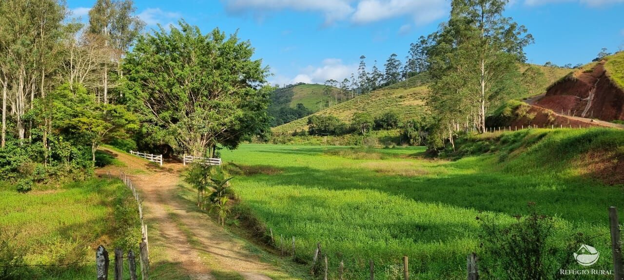 Fazenda à venda com 5 quartos, 7000m² - Foto 3