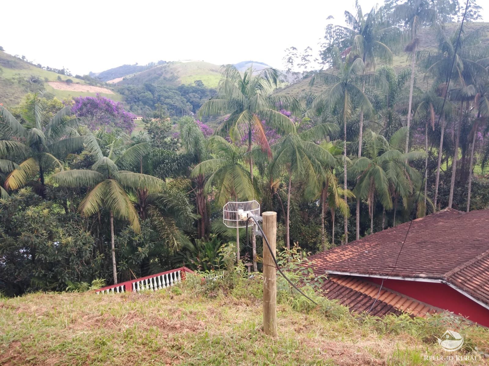 Fazenda à venda com 5 quartos, 7000m² - Foto 22