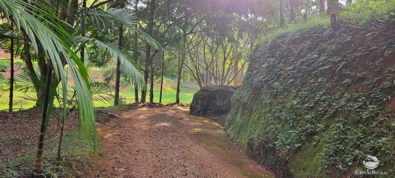 Fazenda à venda com 5 quartos, 7000m² - Foto 10